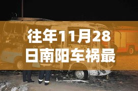 往年11月28日南阳车祸最新消息与案例分析概述