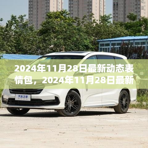 2024年最新动态表情包，引领潮流的表达新方式