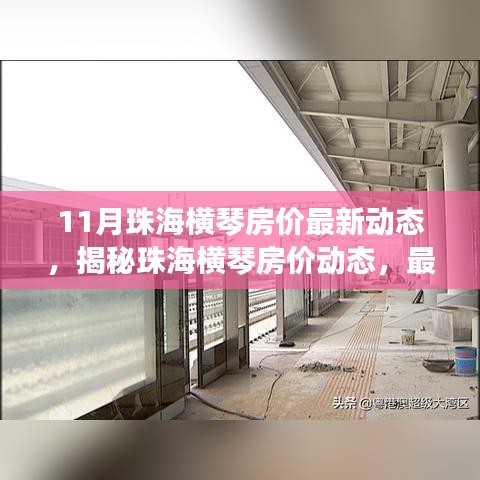 珠海横琴房价最新动态深度解析，揭秘趋势与深度解析（以11月数据为例）