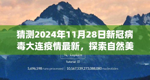 大连未来疫情预测与探索自然美景之旅，新冠病毒新篇章下的希望与宁静探索（预测至2024年11月）