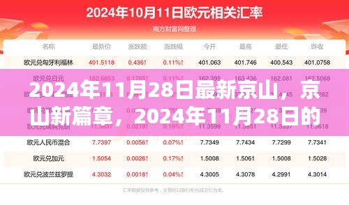 京山新动向，观点分析下的未来展望（2024年11月28日）