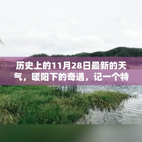 暖阳下的奇遇，特别日子与天气的历史记录 11月28日天气回顾