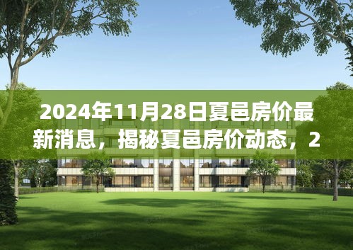 夏邑房价最新动态揭秘，2024年11月28日最新消息解读