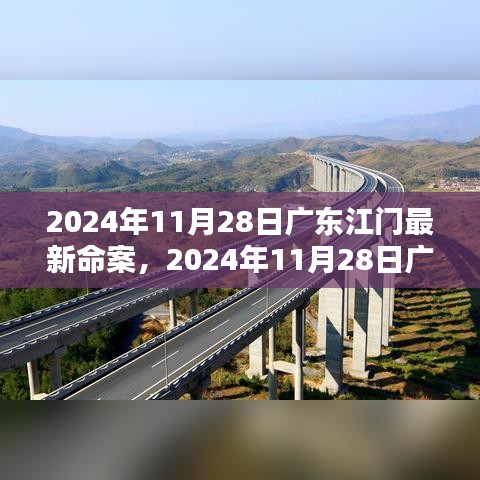 广东江门最新命案深度解析与案例分析，2024年11月28日事件回顾与反思