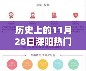 历史上的11月28日溧阳招聘信息影响力深度解析与观点阐述，七日招聘热潮回顾