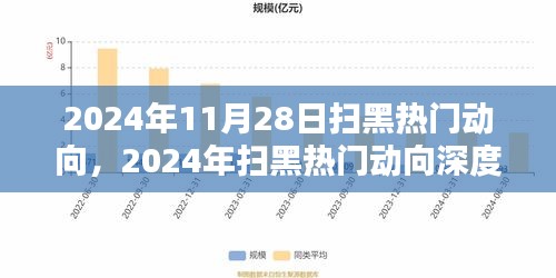 2024年扫黑热门动向深度解析