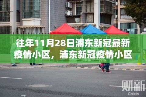 浦东新冠疫情应对指南，往年11月浦东新冠最新疫情小区情况与应对策略详解