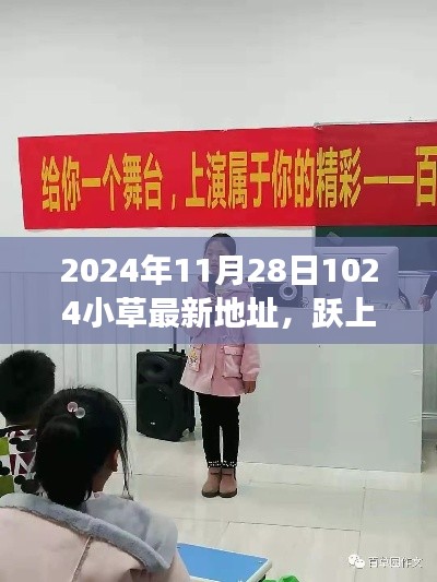 2024年11月28日与1024小草共舞，跃上巅峰，自信成就之旅的新篇章