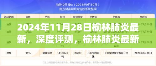 榆林肺炎最新动态深度解析与产品体验报告（2024年11月版）