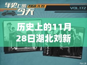 历史上的11月28日与湖北刘新池的最新动态及崭新步伐