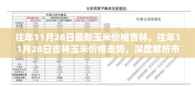 深度解析，吉林玉米价格走势与市场动态——历年11月28日数据回顾与预测