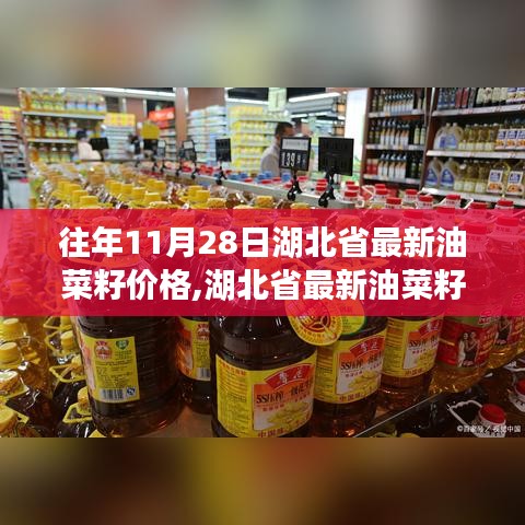 湖北省油菜籽价格查询指南，往年11月28日油菜籽价格回顾与获取方式解析