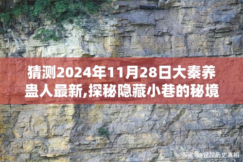 探秘大秦养蛊人，揭秘隐藏小巷秘境，最新篇章神秘面纱揭晓（2024年最新猜测）