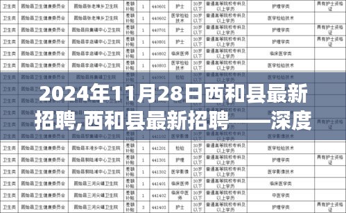 西和县最新招聘深度解析与用户体验报告（2024年11月28日）