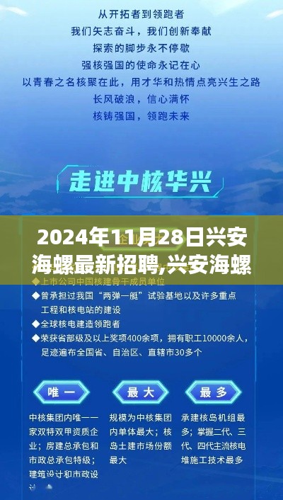 兴安海螺最新招聘启事，探寻人才，共筑未来（2024年11月28日）