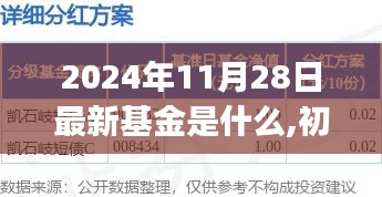 探索最新基金，初学者与进阶用户适用的2024年基金探索之旅