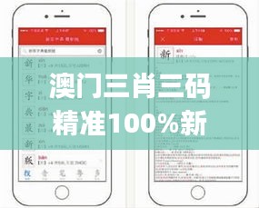 澳门三肖三码精准100%新华字典335期,决策支持方案_VUS66.358限量版