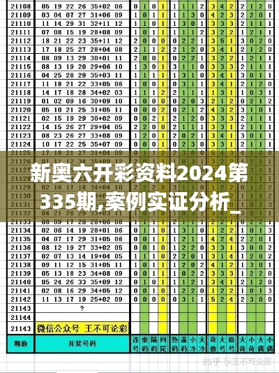 新奥六开彩资料2024第335期,案例实证分析_WLW73.838高速版