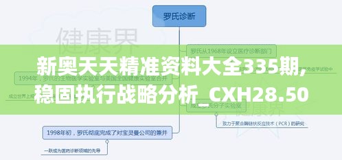 新奥天天精准资料大全335期,稳固执行战略分析_CXH28.503掌中宝