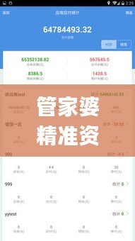 管家婆精准资料免费大全香港335期,数据解释说明规划_REI93.180并发版