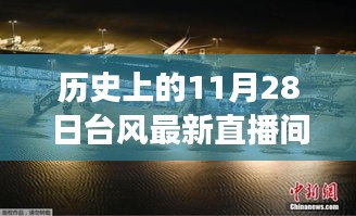 探寻自然美景与心灵觉醒之旅，历史上的台风直播间直播回顾与探寻美好瞬间