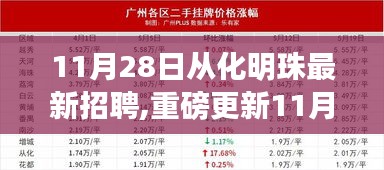 11月28日从化明珠最新招聘信息揭秘，职业梦想启航之地