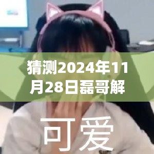 磊哥预测，2024年11月28日新声音盛宴精彩解说独家前瞻