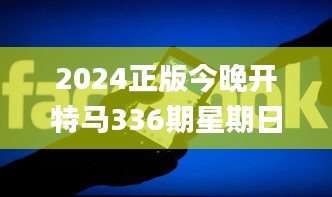 2024正版今晚开特马336期星期日,新式数据解释设想_OUT82.204游玩版