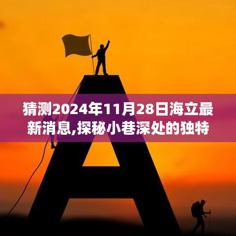 探秘海立最新消息，小巷深处的独特风味与未来展望（2024年11月28日）