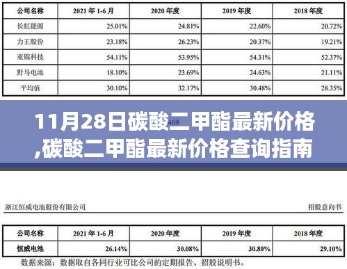 11月28日碳酸二甲酯最新价格动态，查询指南与价格动态分析