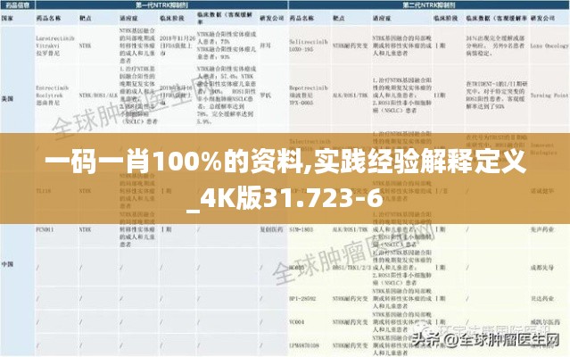 一码一肖100%的资料,实践经验解释定义_4K版31.723-6