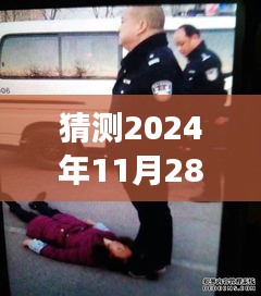 周秀云事件最新进展预测，2024年11月28日版