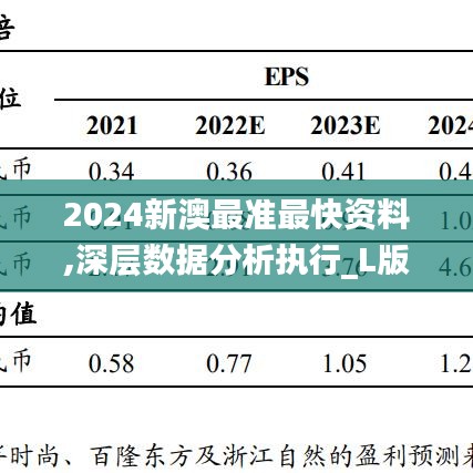 2024新澳最准最快资料,深层数据分析执行_L版55.629-2