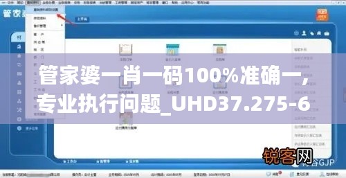 管家婆一肖一码100%准确一,专业执行问题_UHD37.275-6