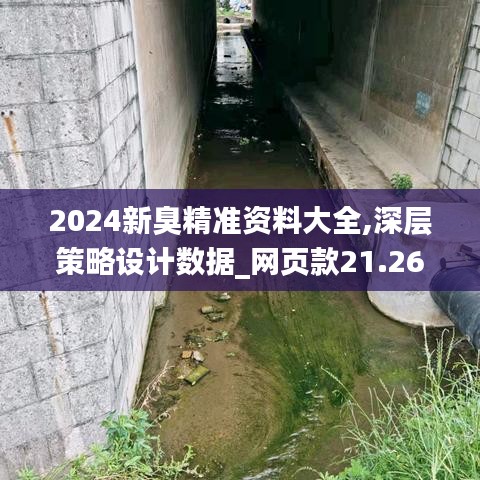 2024新臭精准资料大全,深层策略设计数据_网页款21.267-8