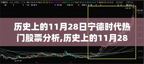 历史上的11月28日宁德时代股票深度解析，入门指南与热门股票分析