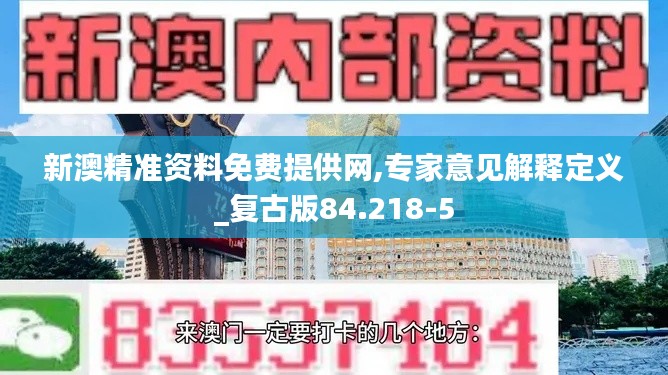 新澳精准资料免费提供网,专家意见解释定义_复古版84.218-5