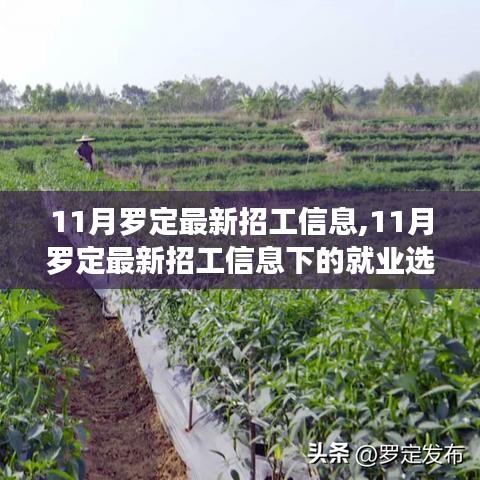 11月罗定最新招工信息深度解析，就业选择与个人立场探讨