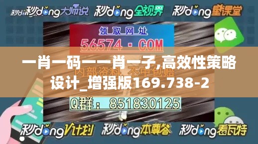 一肖一码一一肖一子,高效性策略设计_增强版169.738-2