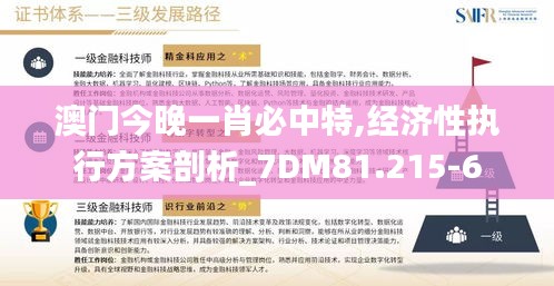 澳门今晚一肖必中特,经济性执行方案剖析_7DM81.215-6