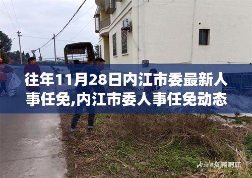 内江市委人事任免动态，深度解读与观点碰撞，最新任免消息一览无余（附时间节点）