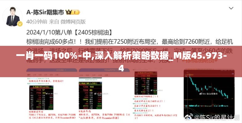 一肖一码100%-中,深入解析策略数据_M版45.973-4