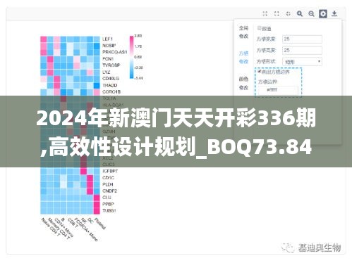 2024年新澳门天天开彩336期,高效性设计规划_BOQ73.843随机版