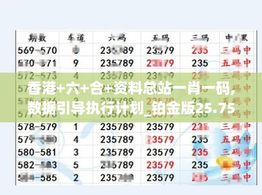 香港+六+合+资料总站一肖一码,数据引导执行计划_铂金版25.752-3