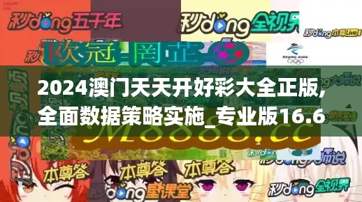 2024澳门天天开好彩大全正版,全面数据策略实施_专业版16.688-4