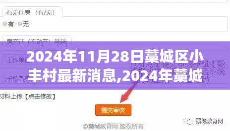 2024年藁城区小丰村最新消息获取与解读步骤指南