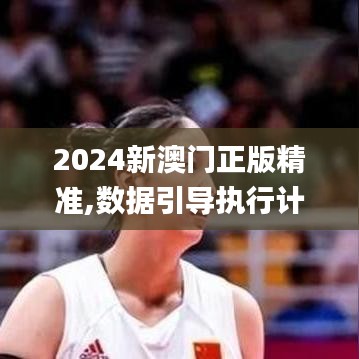 2024新澳门正版精准,数据引导执行计划_影像版15.643-6