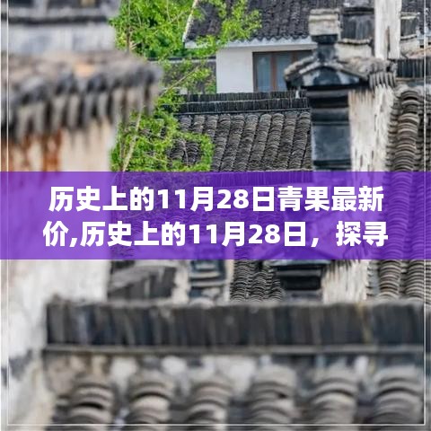 探寻青果最新价的时空之旅，历史上的11月28日价格揭秘