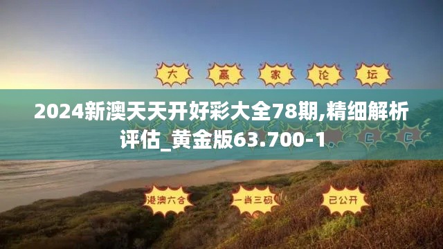 2024新澳天天开好彩大全78期,精细解析评估_黄金版63.700-1