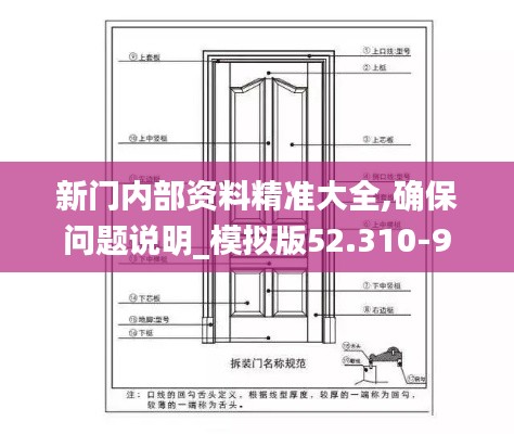 新门内部资料精准大全,确保问题说明_模拟版52.310-9